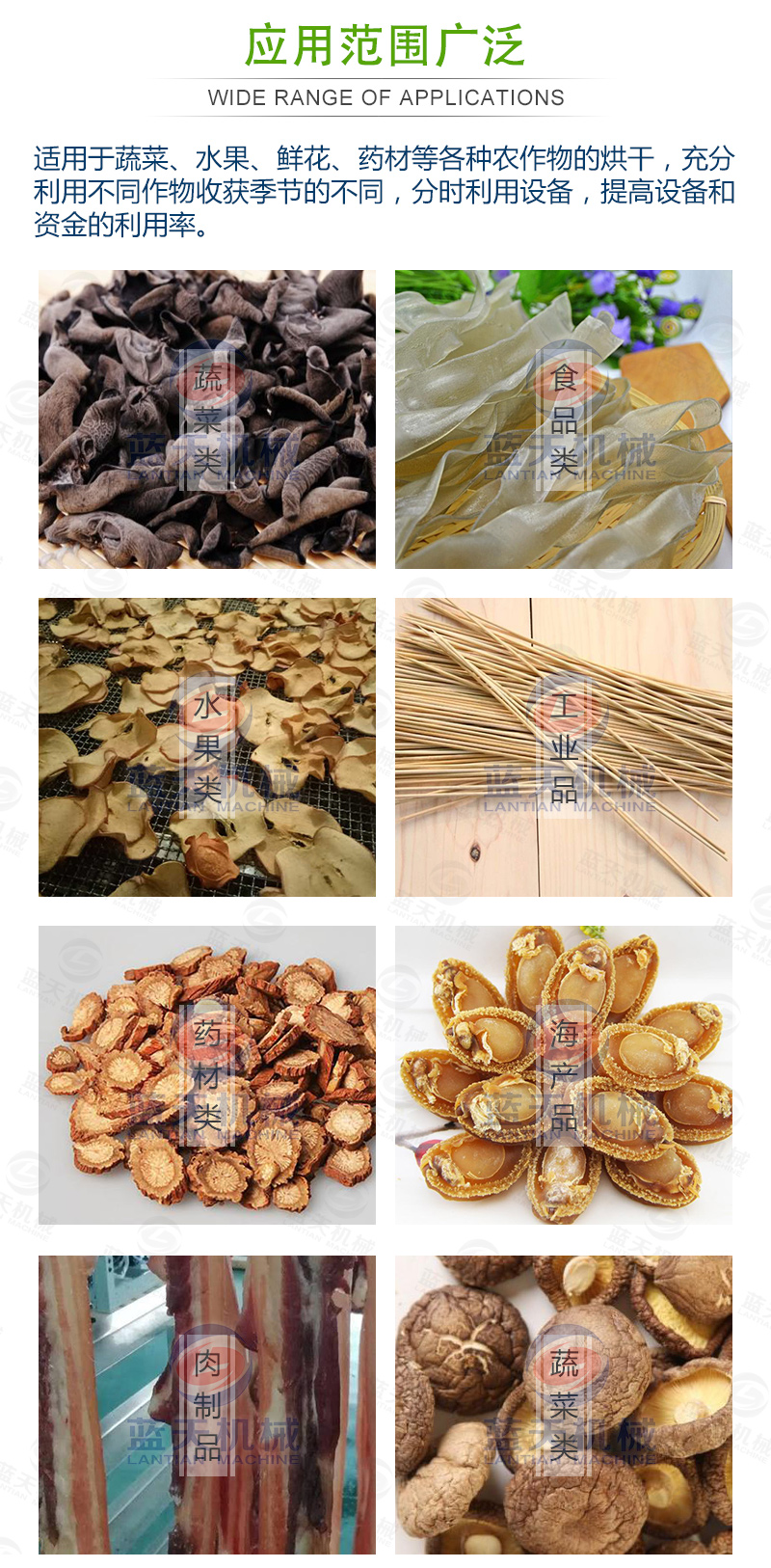 帶式青菜烘干機(jī)應(yīng)用范圍廣泛