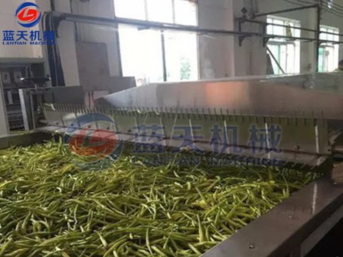 湖南帶式果蔬烘干機用戶現(xiàn)場