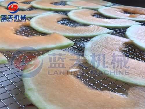 廣西水果烘干機(jī)用戶(hù)現(xiàn)場(chǎng)