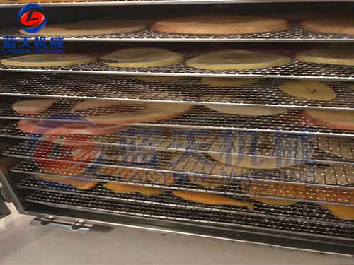 廣西水果烘干機(jī)用戶(hù)現(xiàn)場(chǎng)